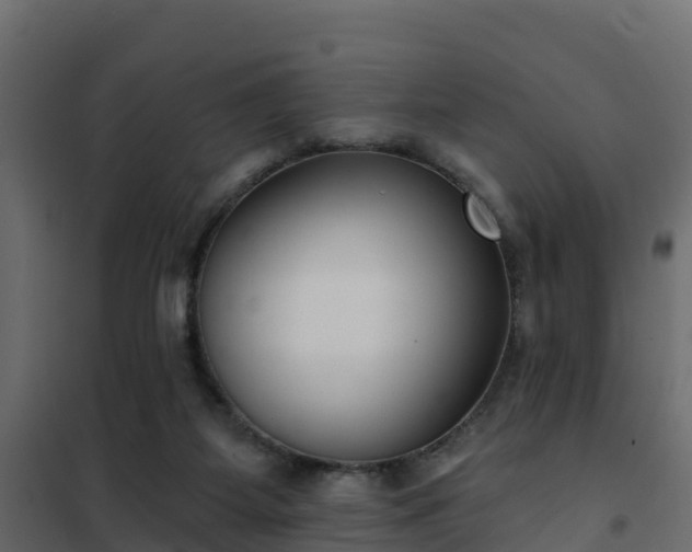 X0000102350115200808081203