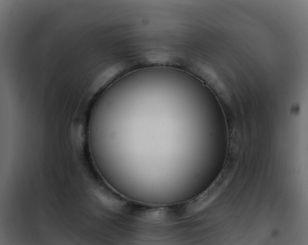 X0000102350116200808081203