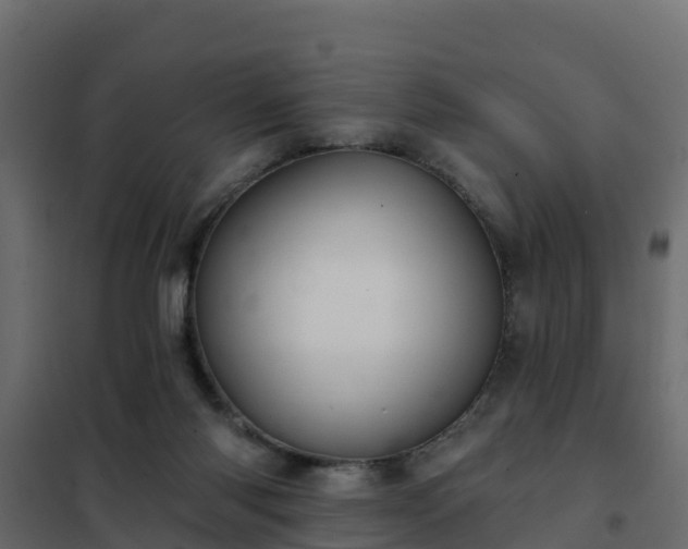 X0000102350118200808081203