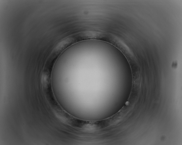 X0000102350119200808081203