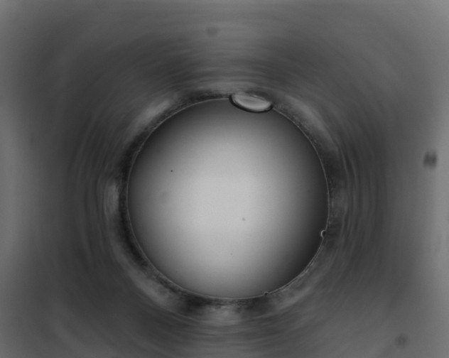 X0000102350120200808081203