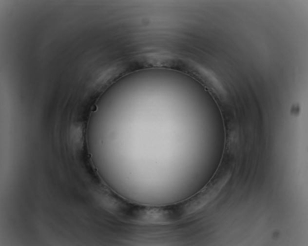 X0000102350121200808081203