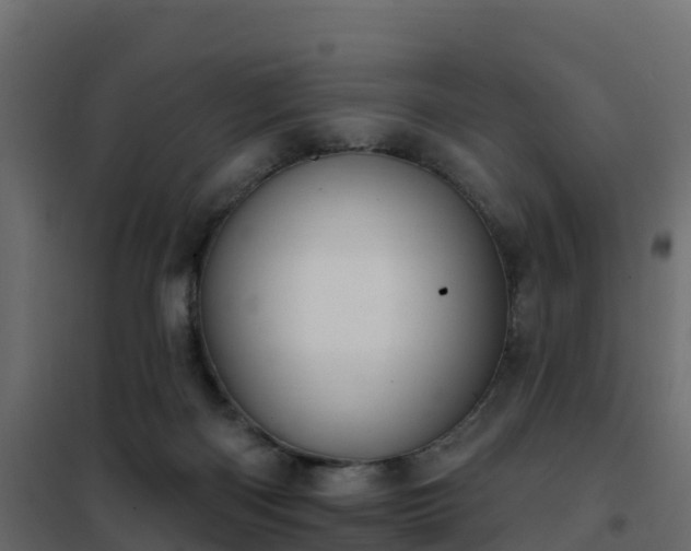 X0000102350122200808081203