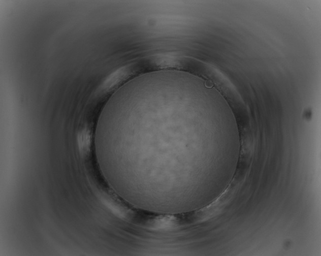 X0000102350124200808081203