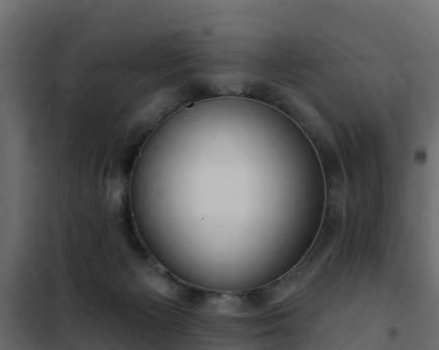 X0000102350125200808081203