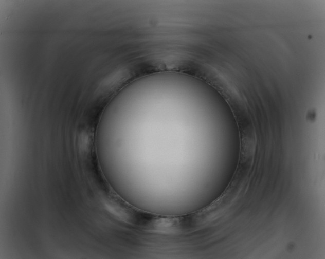 X0000102350126200808081203