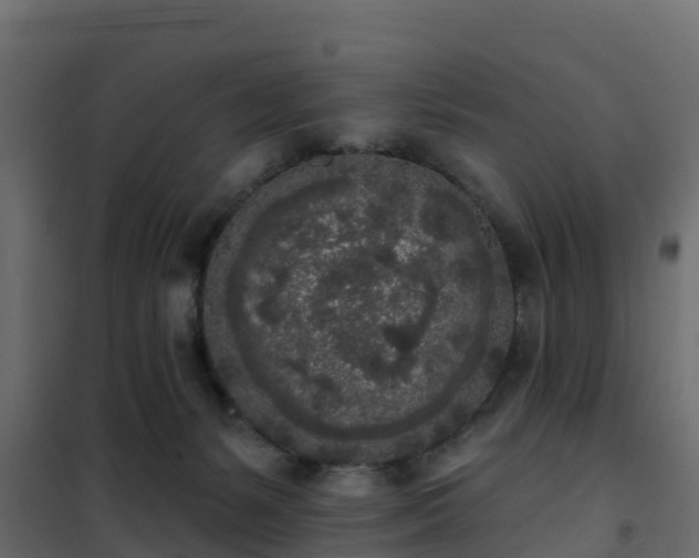 X0000102350127200808081203