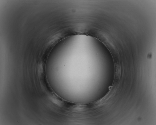 X0000102350128200808081203