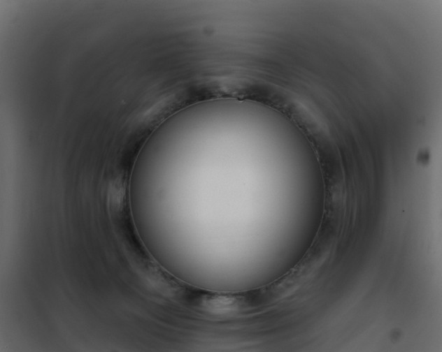 X0000102350129200808081203