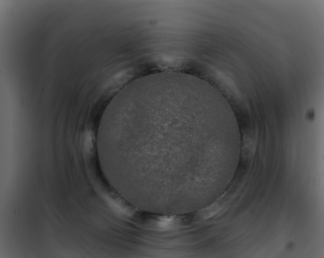 X0000102350130200808081203