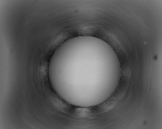 X0000102350133200808081203