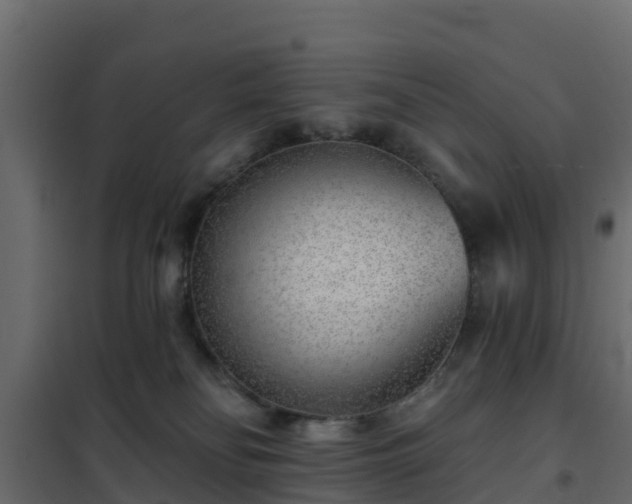 X0000102350134200808081203