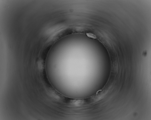 X0000102350135200808081203