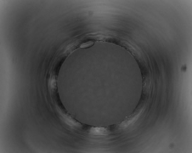 X0000102350137200808081203