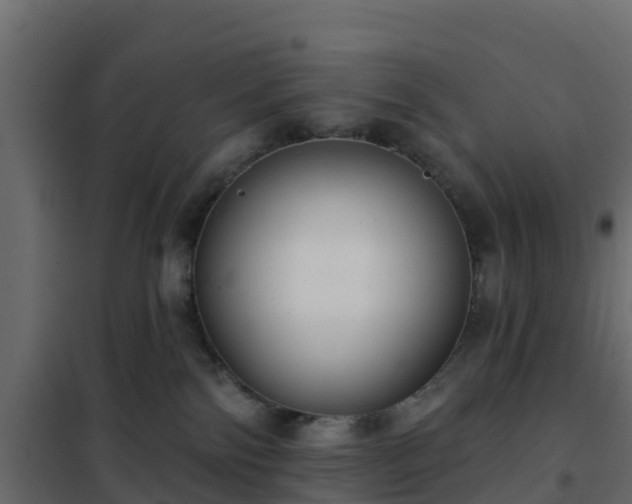 X0000102350138200808081203