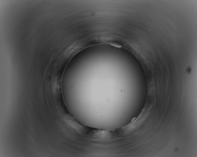 X0000102350140200808081203