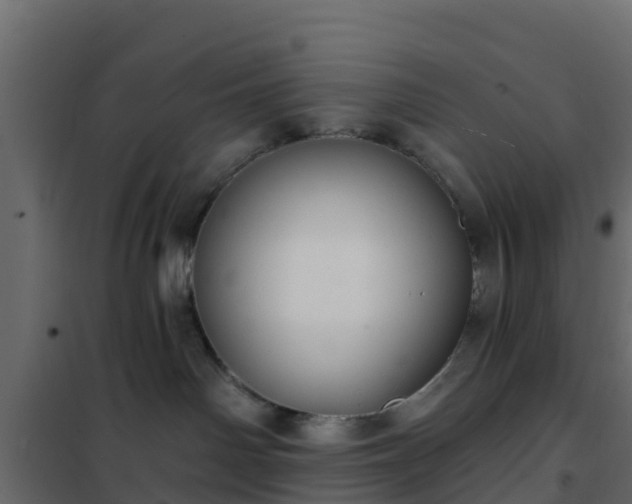 X0000102350142200808081203