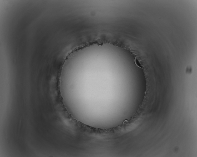 X0000102350144200808081203