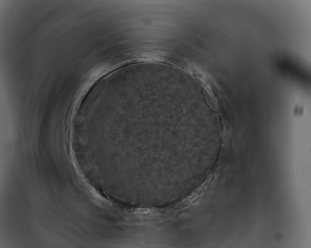 X0000102350145200808081202