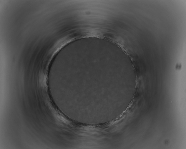 X0000102350146200808081202