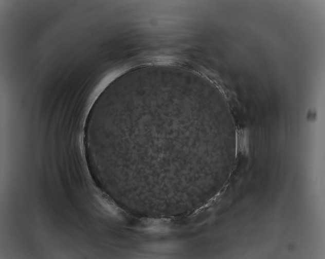 X0000102350147200808081202