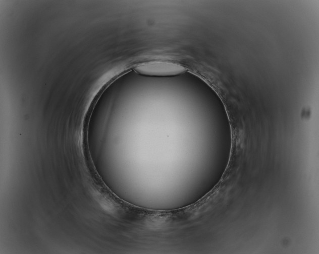 X0000102350148200808081202