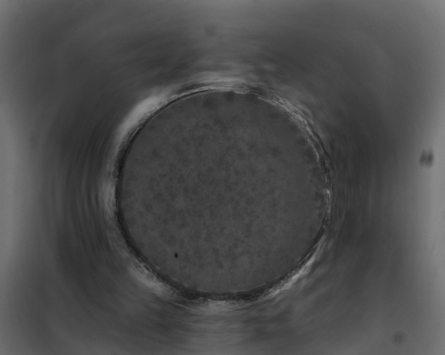 X0000102350149200808081202