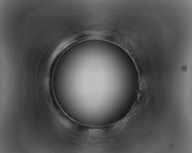 X0000102350150200808081202