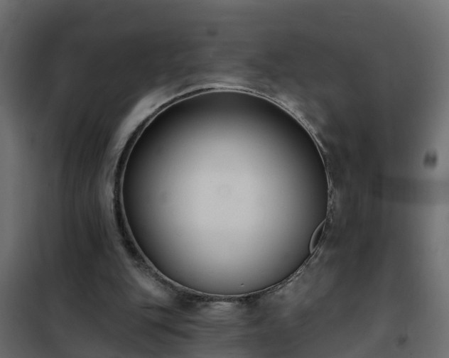 X0000102350151200808081202