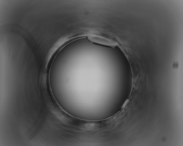 X0000102350152200808081202