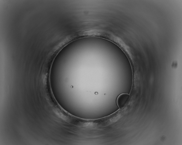 X0000102350153200808081202