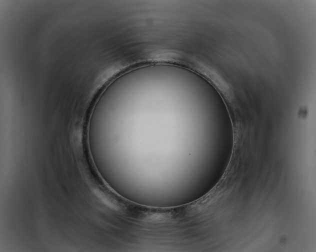 X0000102350155200808081202