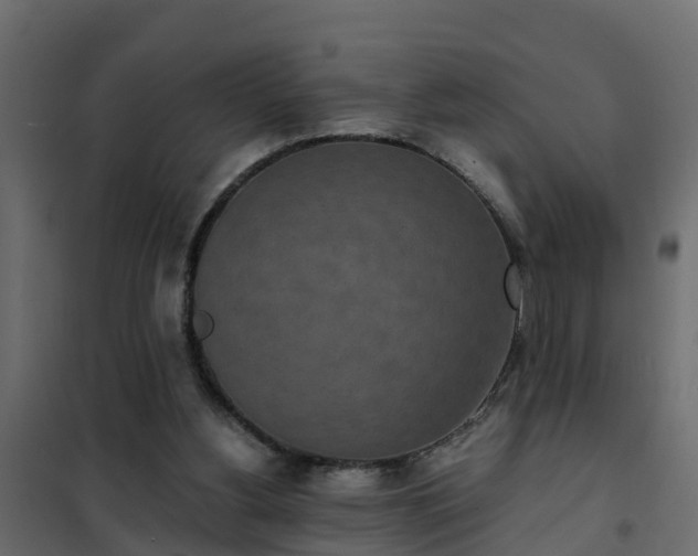 X0000102350156200808081202