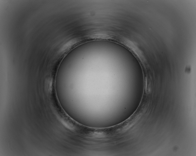 X0000102350157200808081203