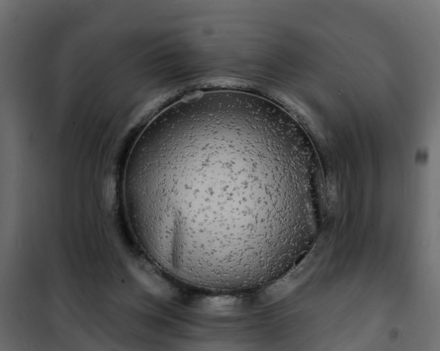 X0000102350158200808081203