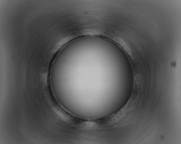 X0000102350159200808081203