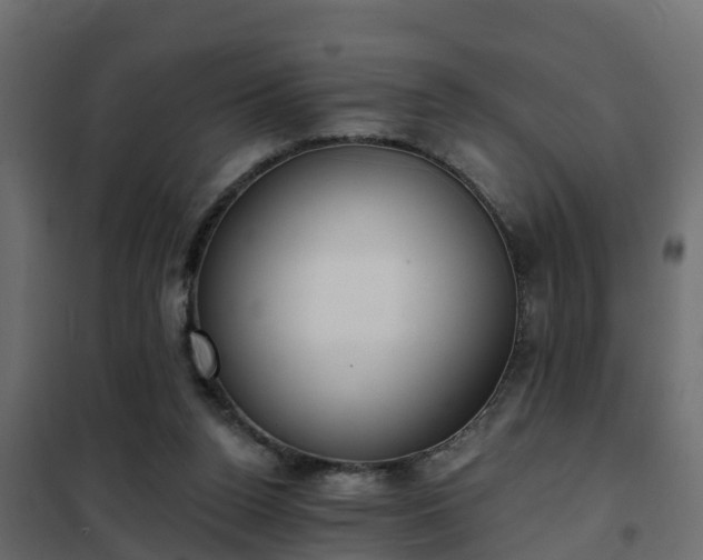 X0000102350160200808081203