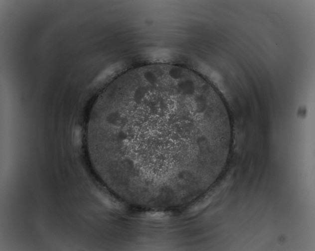 X0000102350161200808081203