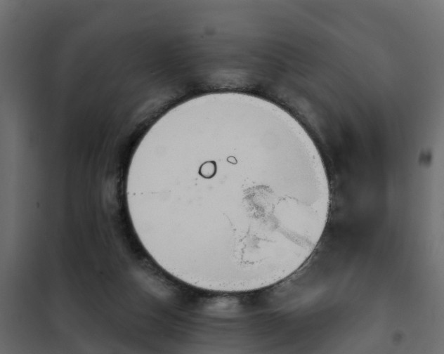 X0000102350162200808081203