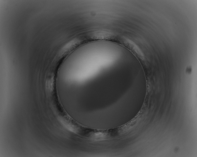 X0000102350163200808081203