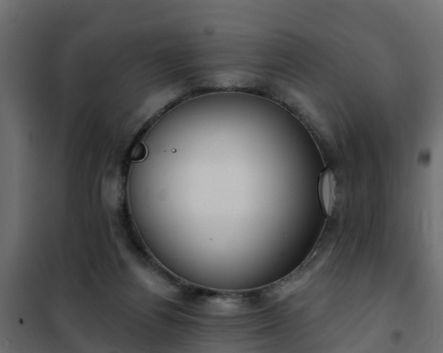 X0000102350164200808081203