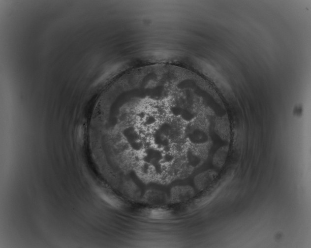 X0000102350165200808081203