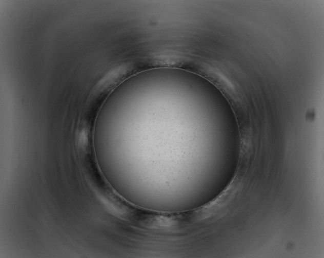 X0000102350166200808081203