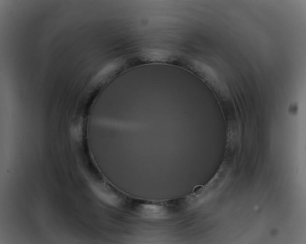 X0000102350167200808081203