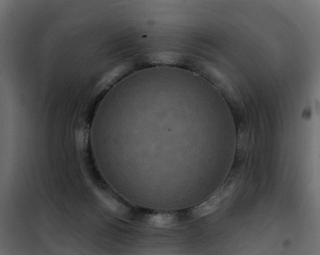 X0000102350168200808081203