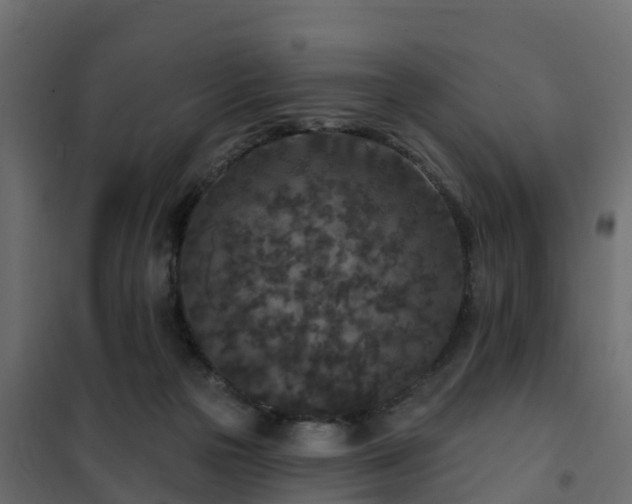 X0000102350169200808081203