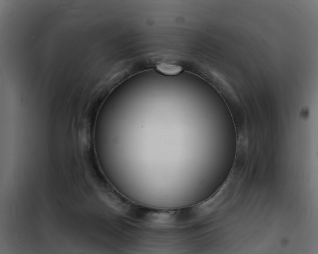 X0000102350170200808081203