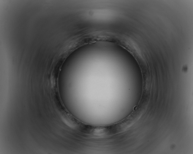 X0000102350173200808081203