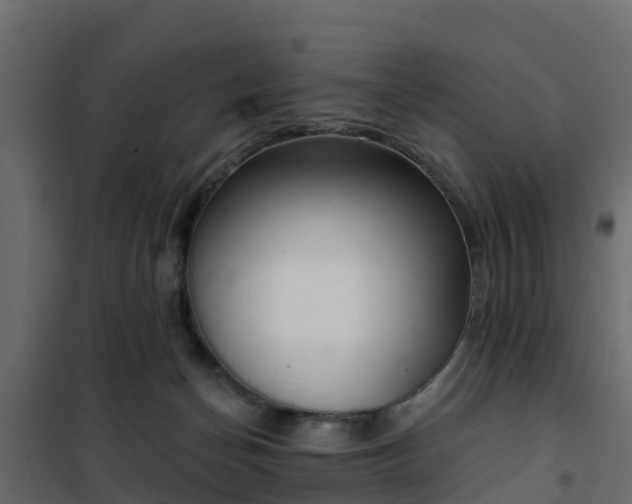 X0000102350174200808081203