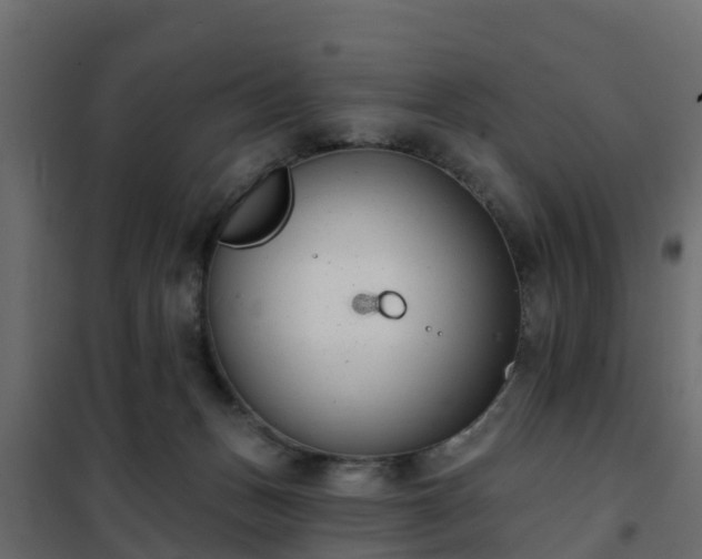 X0000102350175200808081203